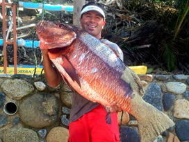 large fish caught when sport fishing in yelapa
